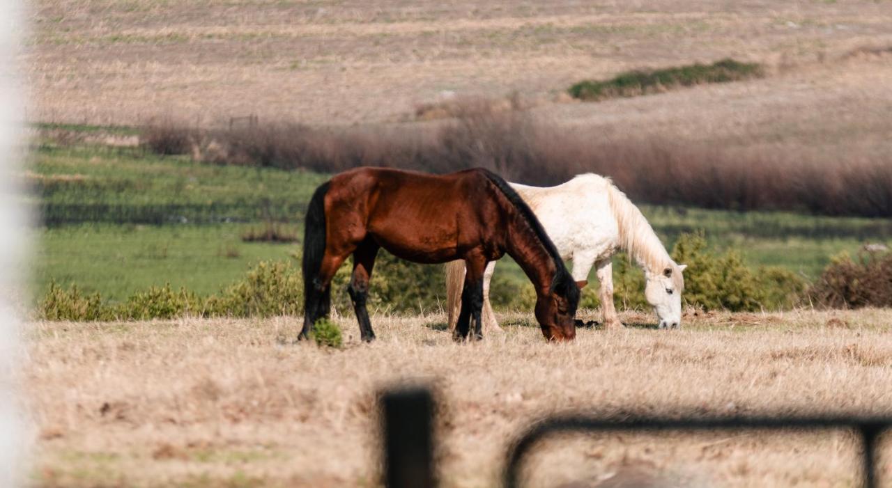 Henburg Park Rosetta Fields Country Lodge מראה חיצוני תמונה